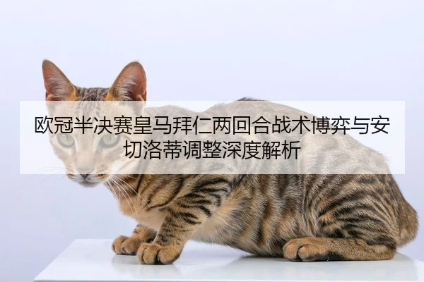 欧冠半决赛皇马拜仁两回合战术博弈与安切洛蒂调整深度解析