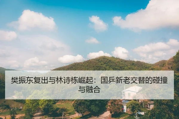 樊振东复出与林诗栋崛起：国乒新老交替的碰撞与融合
