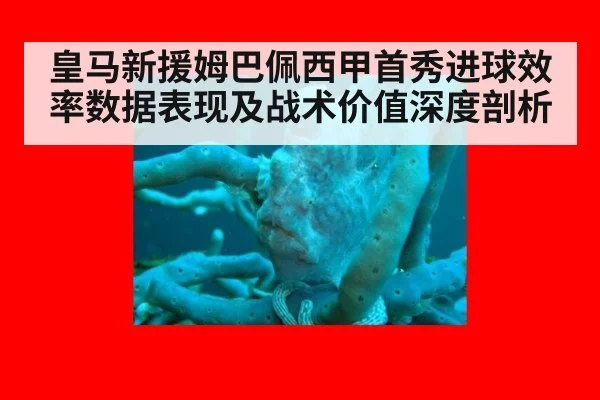 皇马新援姆巴佩西甲首秀进球效率数据表现及战术价值深度剖析