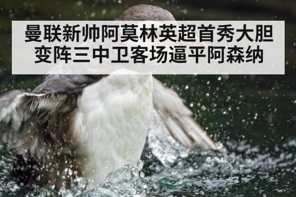 曼联新帅阿莫林英超首秀大胆变阵三中卫客场逼平阿森纳