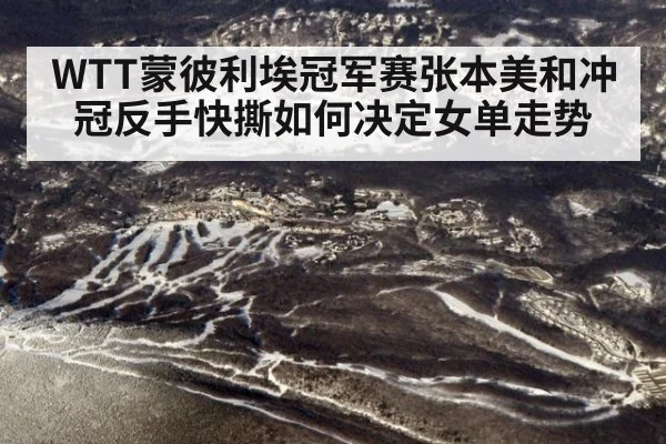 WTT蒙彼利埃冠军赛张本美和冲冠反手快撕如何决定女单走势